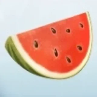 🍉