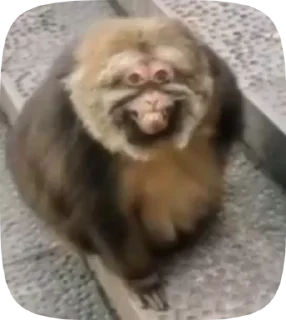 😁
