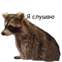 👂