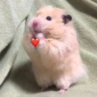 🥰