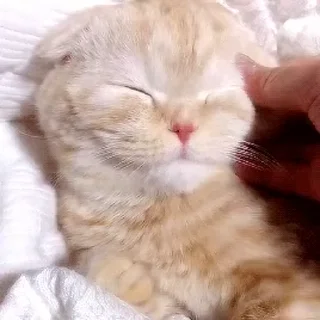 😚