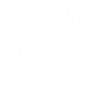 🎲