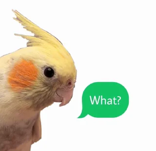 ❓