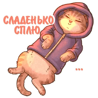 💤