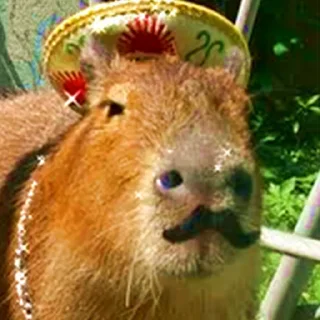 🇲🇽