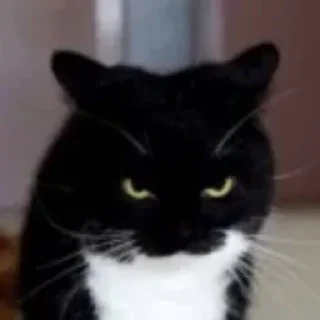 😈