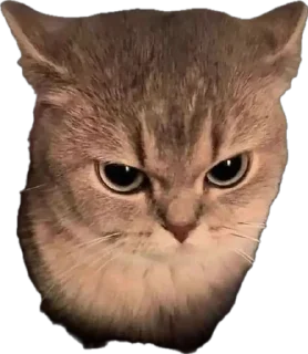 😡
