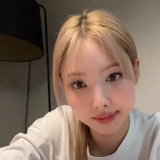 🐰