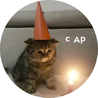 🎉
