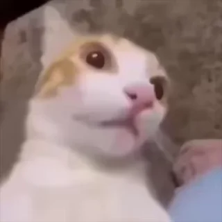 😳