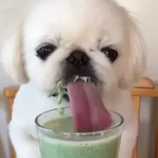 😛