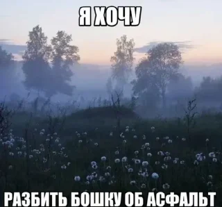 🧂