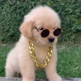 😎