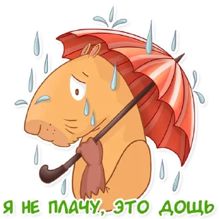 😥