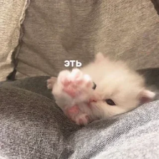 😜