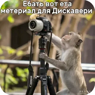 🚲