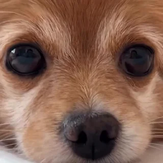 😞