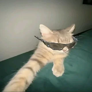 😎