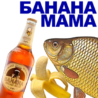 🐠