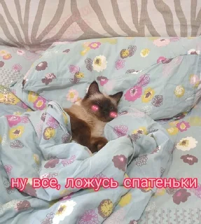😴