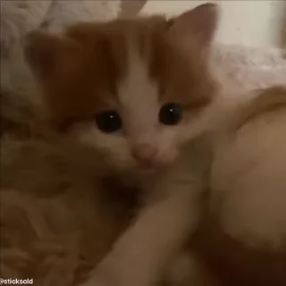 😝