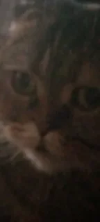 😐