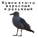 👴