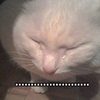 😭
