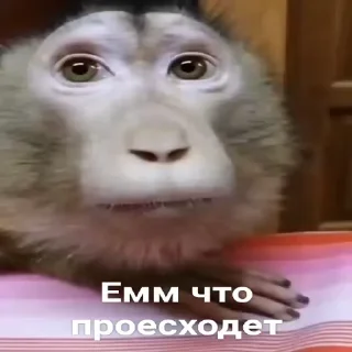 🫤