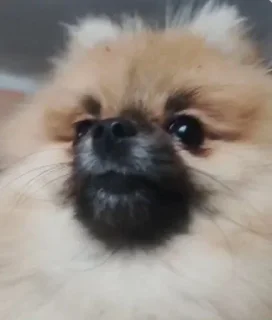 😳
