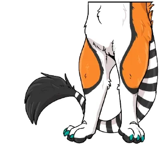 🐱