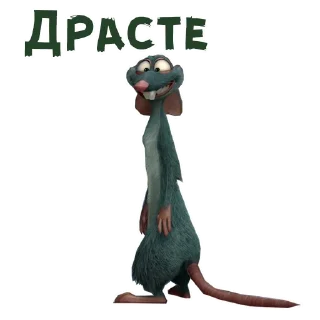 Реальная белка :: @animesticks