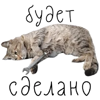 👍