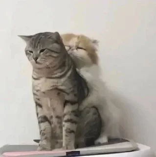 ❤️