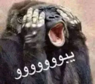 😵