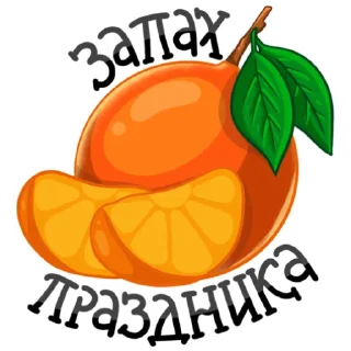 🍊