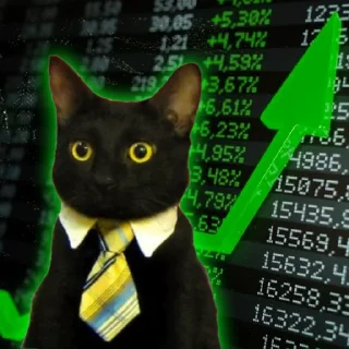 📈