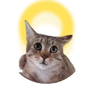 😇