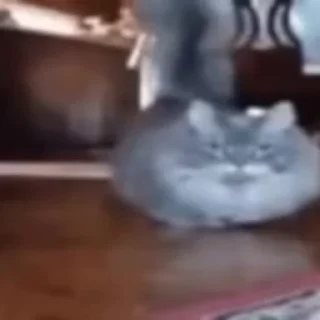 😶