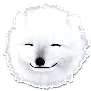😊