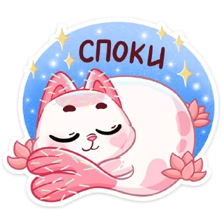 😴