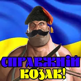 🇺🇦