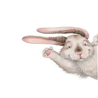 🐇