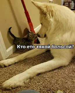 🥰