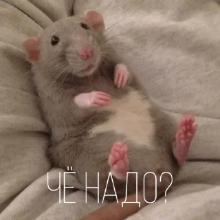 🤨