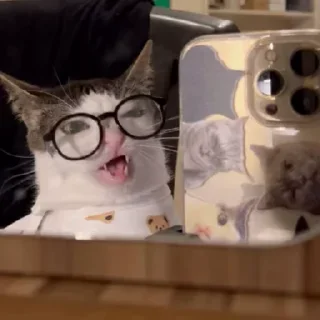 🤓