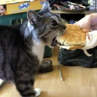 🍔