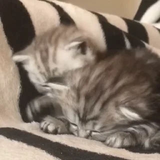 🥰