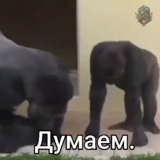 🧐