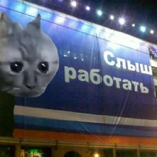😳